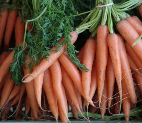 Как да увеличим реколтата от моркови