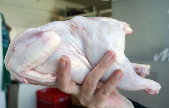 Цени на замразено и охладено пиле в магазинната мрежа