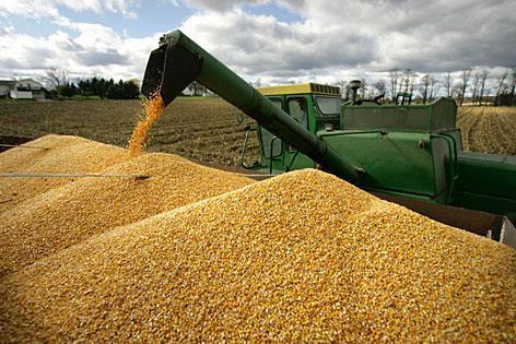 САЩ повишиха прогнозата за световното производство и крайните запаси от пшеница