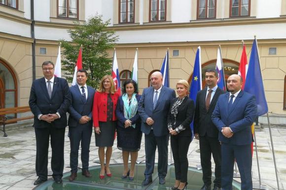 Становище на Танева за бъдещата ОСП пред Вишеградската група 