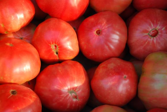 CAPA: След три добри години износът на преработени домати ще отбележи срив през 2019 г.
