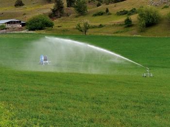 Анелия Иванова: Казусът с напояването би трябвало да обедини земеделците