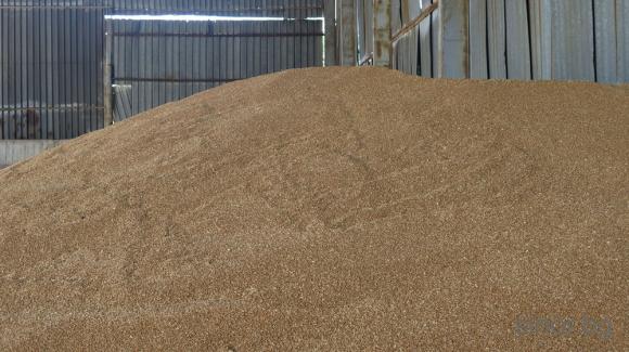 Египет напазарува  300 хил. тона черноморска пшеница при доста по-високи цени
