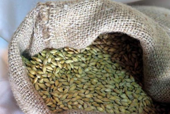 Добивите от зърно в Русия са на тригодишен минимум