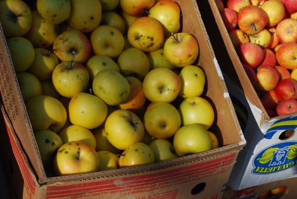 Цените на ябълките в Украйна са на тригодишно дъно