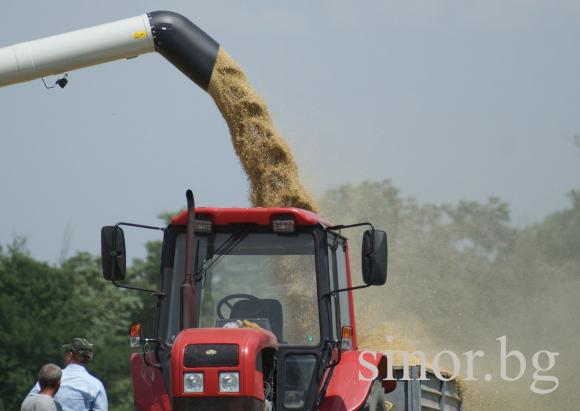 САРА: Пшеницата има потенциал да поскъпва и през следващите месеци