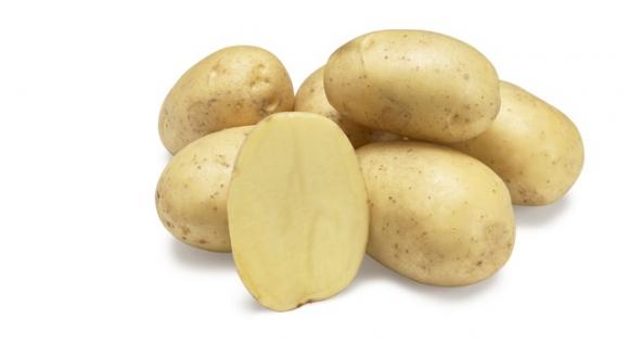 Нови сортове картофи за сезон 2021 - 2022 година от AGRICO