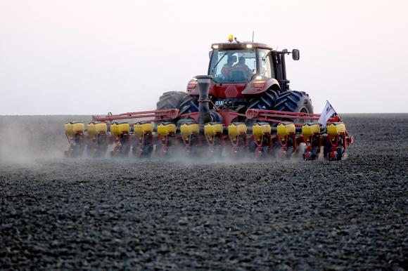 Германия увеличи засетите площи с рапица и пшеница за сметка на ечемика