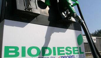 Производството на биогорива не увеличи енергийната независимост на Франция