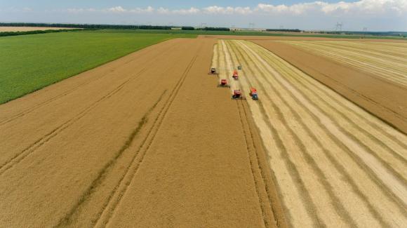 За инвестиции в земеделието са планирани над 1,446 млрд. евро с националното съфинансиране