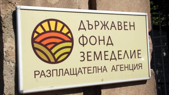 Овощари от Северна България настояват за плащане по обвързаната подкрепа веднага