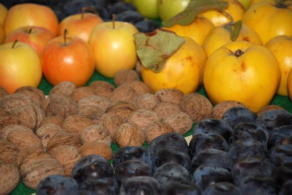 Турция се превръща в посредник при вноса на плодове от трети страни в Русия