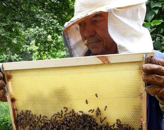 Започна подписването на договори по пчеларската програма