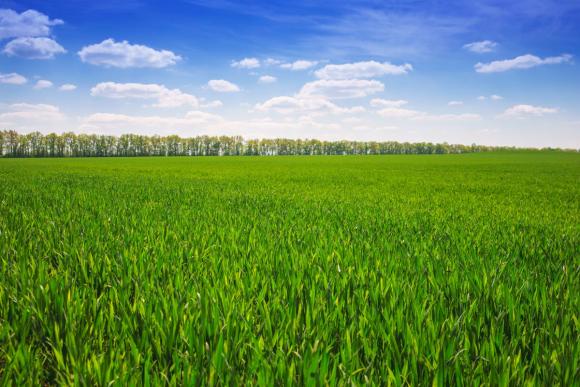 Земеделските иновации на BASF ще подпомогнат продоволствената сигурност, климата и околната среда