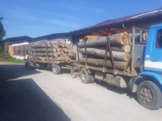 Спряха дейността на обект в Етрополе за складиране и преработване на дървесина