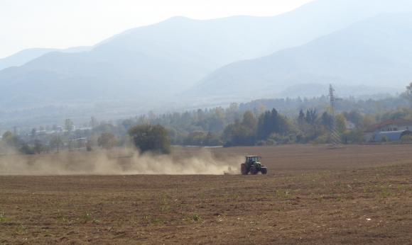 Сушата вече заплашва развитието на пшеницата и останалите култури в Сърбия