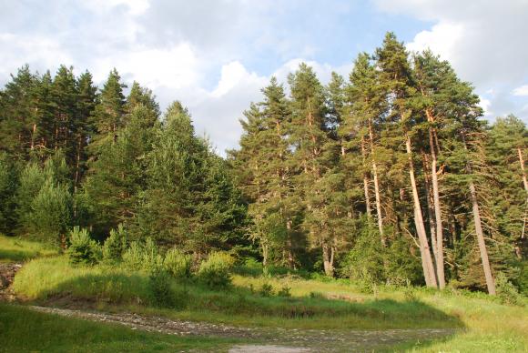 Български проект в Натура 2000 признат от ЕС за опазването на природата