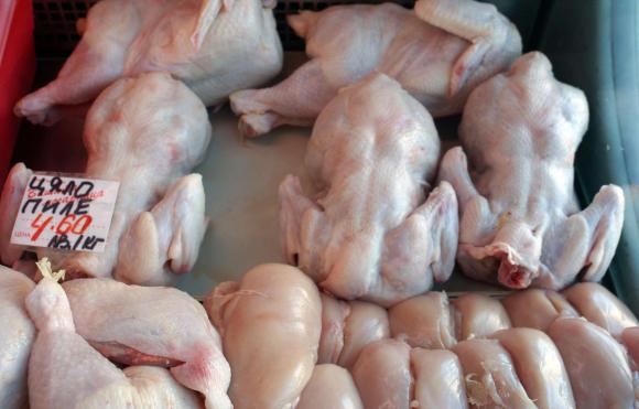 БАБХ насочи за унищожаване 1100 кг пилешко месо за дюнер негодно за човешка консумация