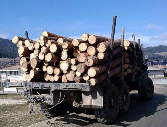 Конфискувана незаконна дървесина в Самоковско