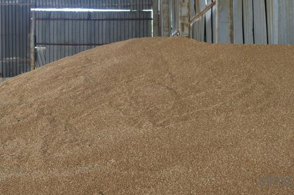 Руските окупатори отнеха 1700 тона зърно от украински компании