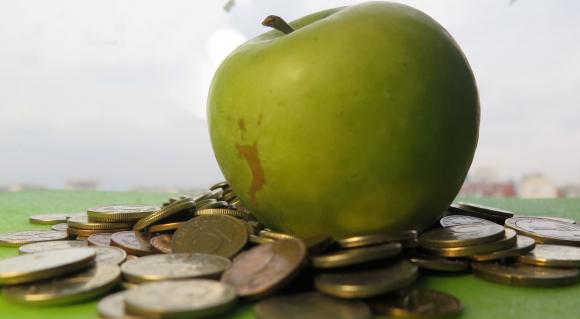 ДФЗ изплати над 1,4 млрд. лева на българското земеделие за първите шест месеца на годината
