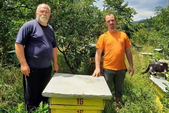 Ловец на рояци пчели: И климатичните промени влияят за синдрома на „празния кошер”