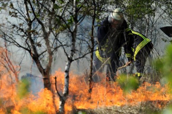 Стотина горски служители и пожарникари гасят пожар край Калугерово