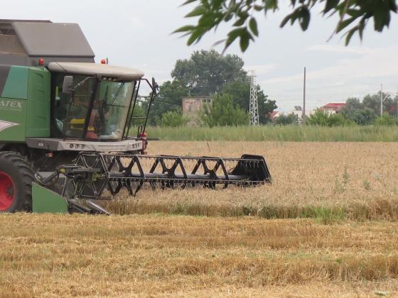 Реколтата от есенна пшеница в Унгария остана под 4 милиона тона