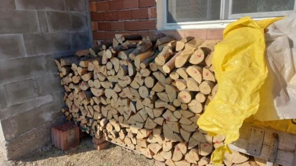 Провеждат се масови акции за незаконни дърва за огрев в цялата страна