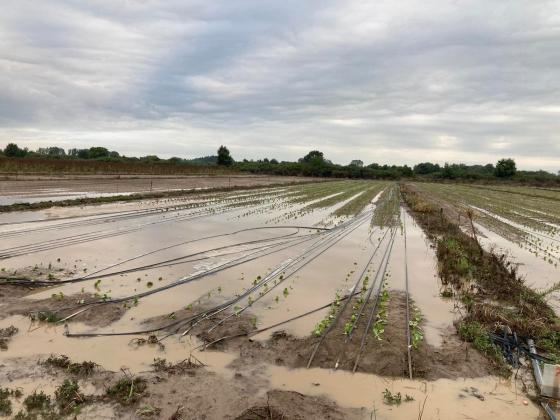 Фермери питат: Защо „Гражданска защита” не ни предупреди за потопа?