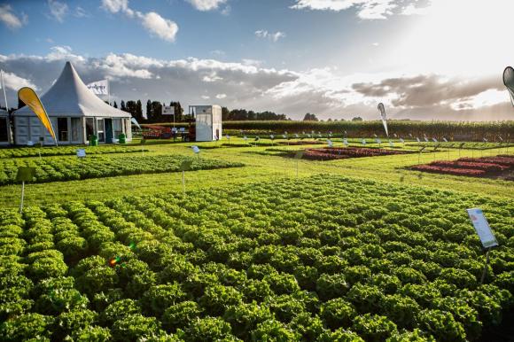 Изложение в Нидерландия ще покаже иновации за зеленчукопроизводителите