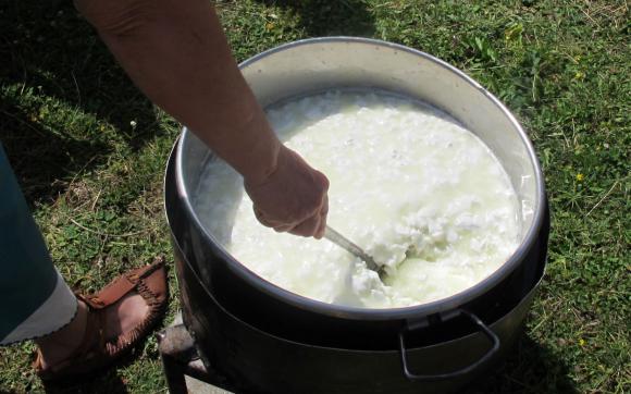 Предстои фестивал на сиренето в Троян