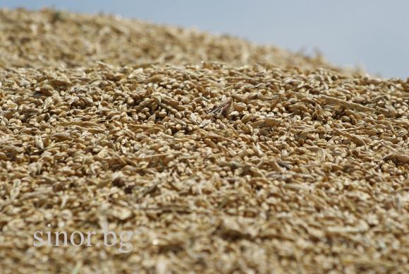 Украйна е достигнала довоенния си експорт на зърно