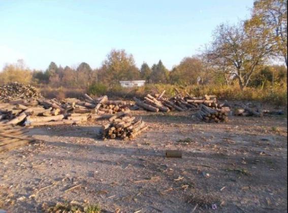 Спряха дейността на 2 обекта преработка на дървесина в Тутраканско