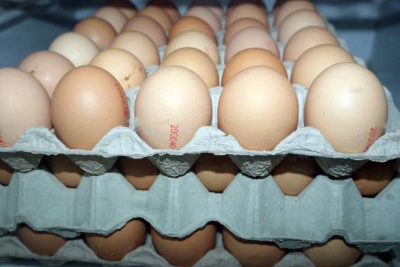 В пет области се наблюдава повишение на цените на яйцата с до 0,02 лева за брой