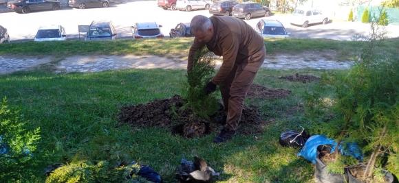 Поредно дарение и засаждане на дръвчета в Благоевград
