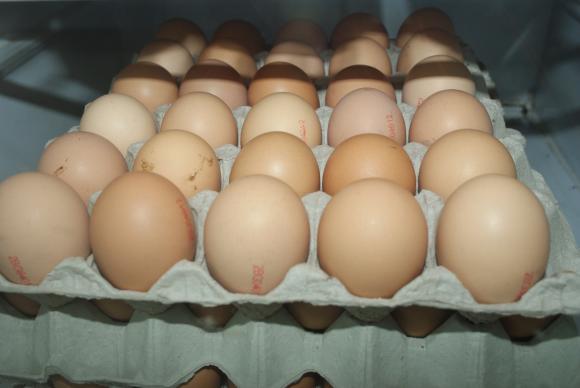 Унгария наложи таван на цените на дребно на яйцата и картофите