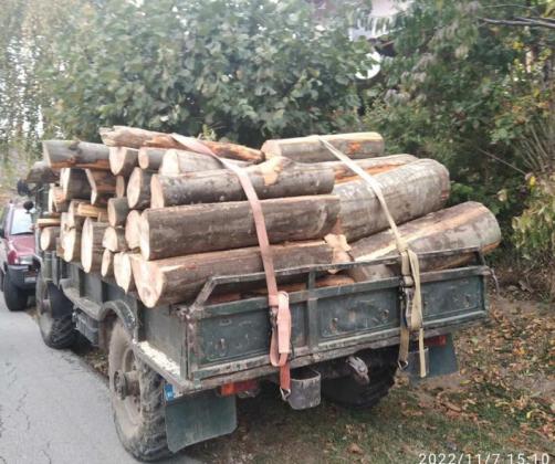 Разкриха незаконна схема за доставка на дърва за огрев в община Вършец