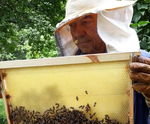 Субсидиите за пчеларите до 2027 г., съчетани със защита за опрашителите
