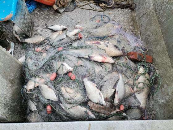 Разкрити бракониери на риба след сигнали на спешния телефон 112