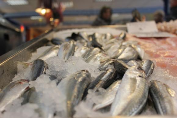 Рибопреработватели с остра критика срещу асоциацията на потребителите