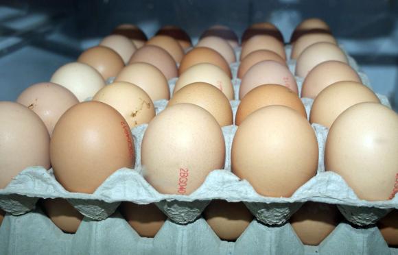 Цената на яйцата гони 50 стотинки