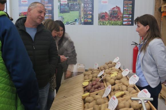 Силна защита срещу мана при новите селекции картофи на AGRICO