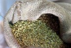 Египет ще купи половин милион тона пшеница от Индия
