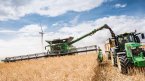 Жътвата на пшеницата във Великобритания приключи с високи добиви