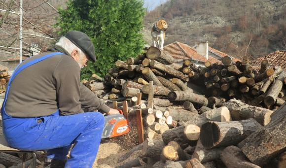 Дърводобивът ще блокира, ако горските предприятия бъдат преобразувани
