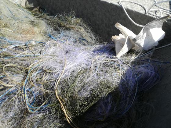 Извадиха 200 метра бракониерски мрежи от язовир Доспат