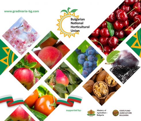 Показваме качествени пресни плодове и зеленчуци на FRUIT LOGISTICA  