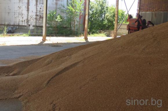 Египет преговаря за закупуване на 1 милион тона сръбска пшеница 