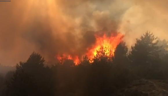 Пожар край разложкото село Елешница е засегнал повече от 40 декара 